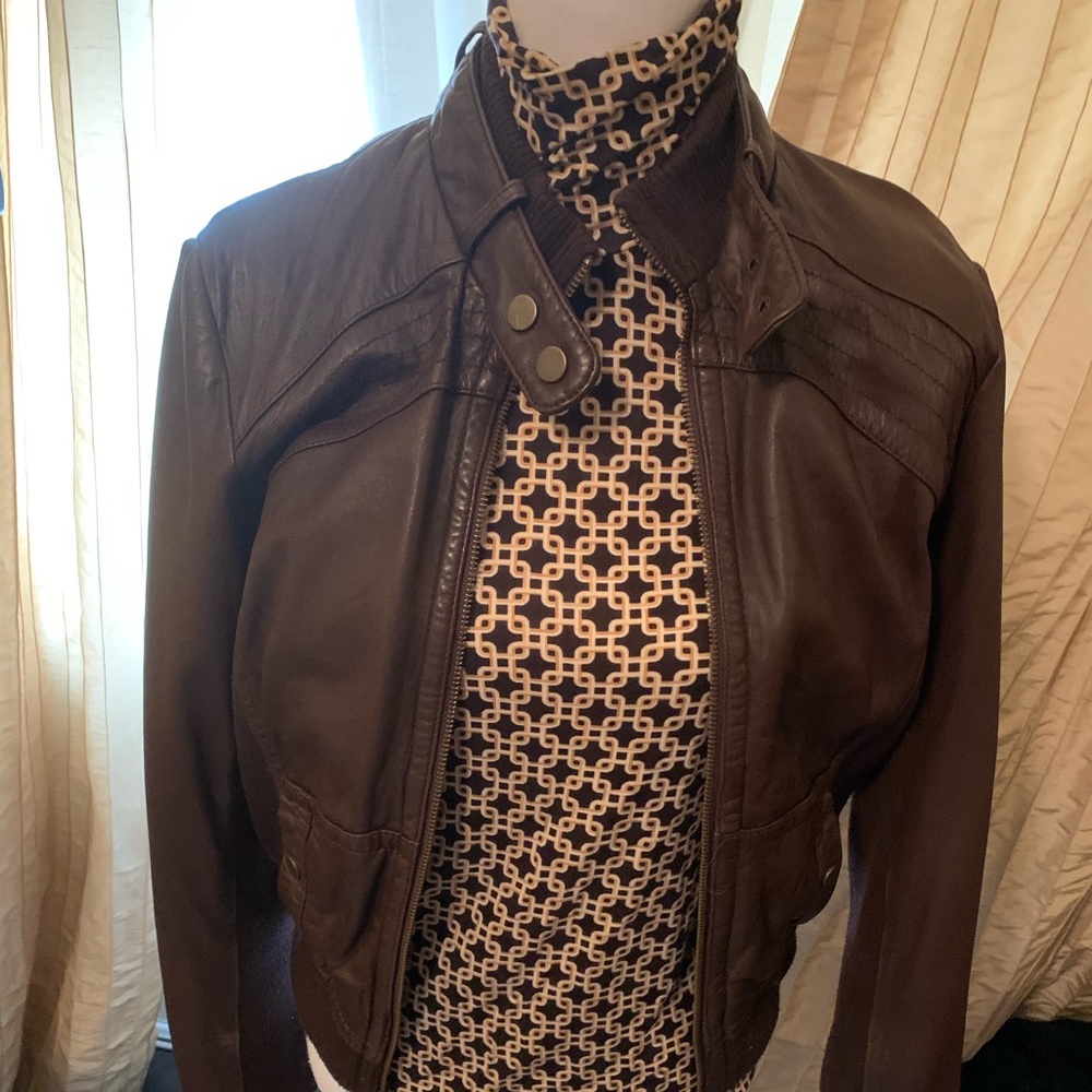 Anthropologie Dark Chocolate Brown Leather Bomber Jacket
